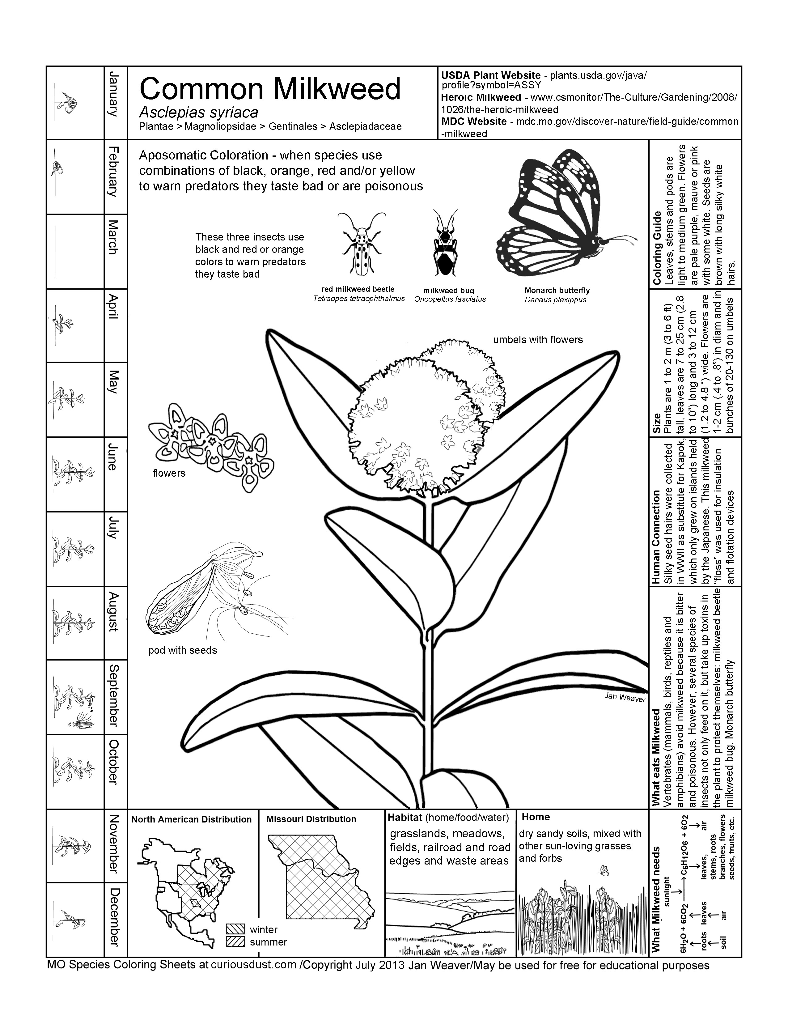 Missouri Species Coloring Sheets